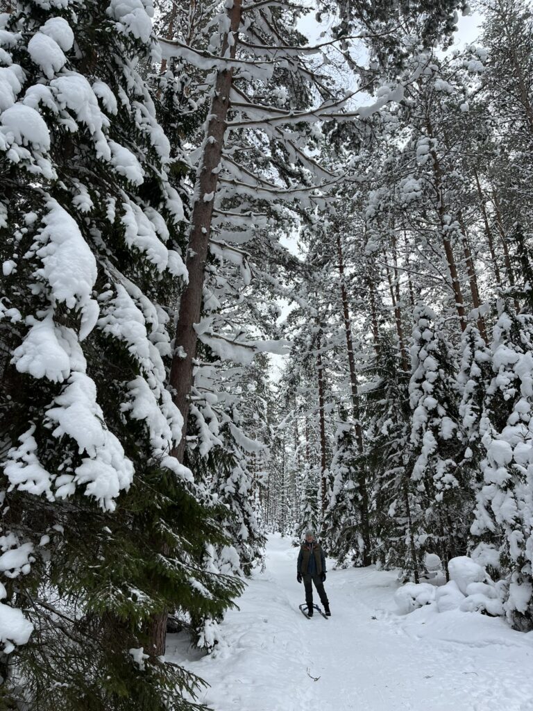 img 7165
