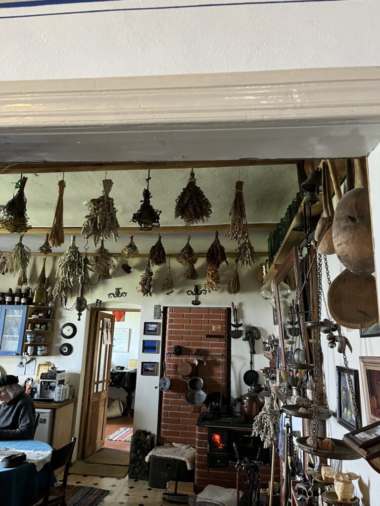 img 3613