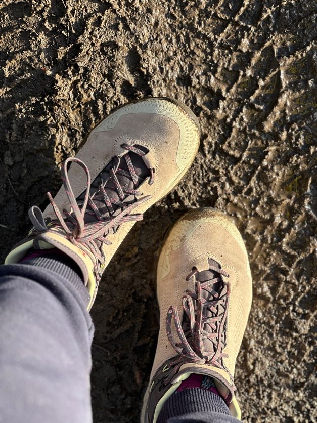 hiking shoes